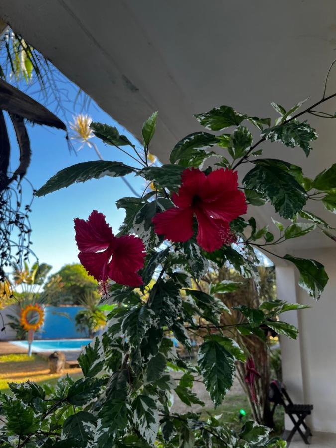 Eco Suites Caravelas Cabo Frio Extérieur photo